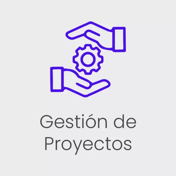 Gestión-de-Proyectos