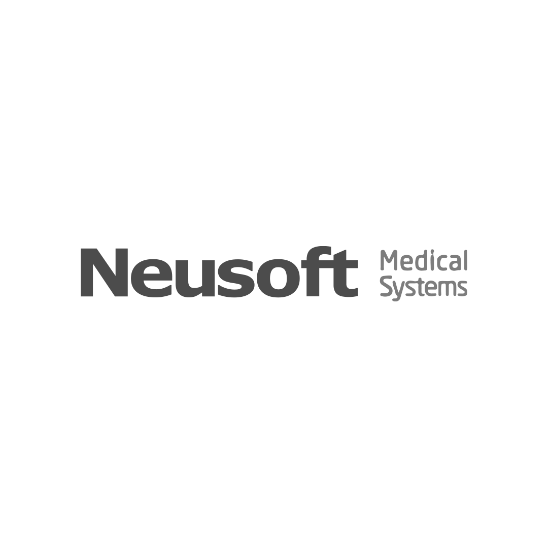 neusoft