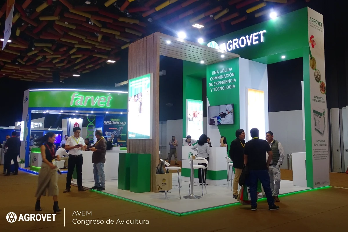 STANDAGROVET